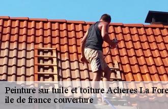 Peinture sur tuile et toiture  acheres-la-foret-77760 ile de france couverture