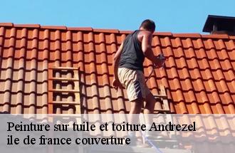 Peinture sur tuile et toiture  andrezel-77390 ile de france couverture