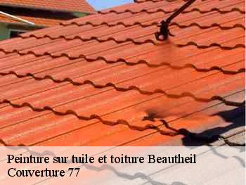 Peinture sur tuile et toiture  beautheil-77120 Couverture 77