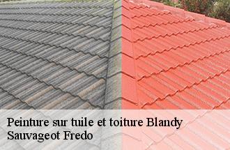 Peinture sur tuile et toiture  blandy-77115 ile de france couverture