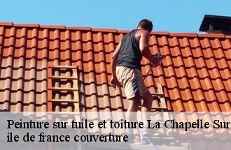 Peinture sur tuile et toiture  la-chapelle-sur-crecy-77580 ile de france couverture