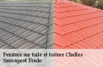 Peinture sur tuile et toiture  chelles-77500 ile de france couverture