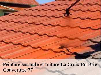 Peinture sur tuile et toiture  la-croix-en-brie-77370 Couverture 77