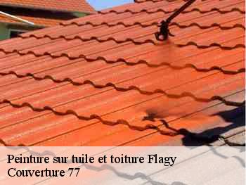 Peinture sur tuile et toiture  flagy-77940 Couverture 77