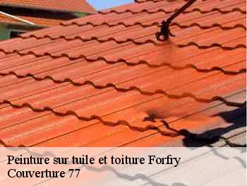 Peinture sur tuile et toiture  forfry-77165 Couverture 77