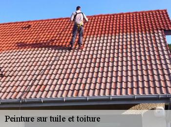 Peinture sur tuile et toiture