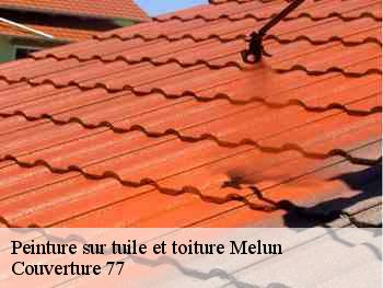 Peinture sur tuile et toiture  melun-77000 Couverture 77