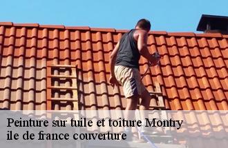 Peinture sur tuile et toiture  montry-77450 ile de france couverture