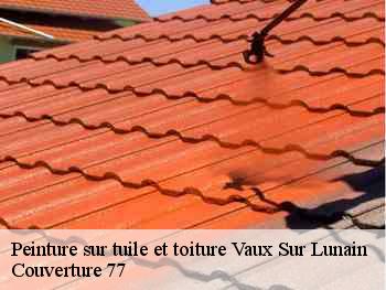 Peinture sur tuile et toiture  vaux-sur-lunain-77710 Couverture 77