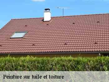 Peinture sur tuile et toiture