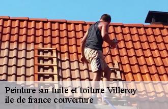 Peinture sur tuile et toiture  villeroy-77410 ile de france couverture