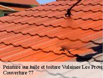 Peinture sur tuile et toiture  vulaines-les-provins-77160 Couverture 77