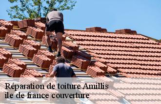 Réparation de toiture  amillis-77120 ile de france couverture