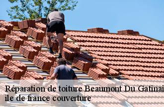 Réparation de toiture  beaumont-du-gatinais-77890 ile de france couverture