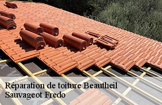 Réparation de toiture  beautheil-77120 Sauvageot Fredo