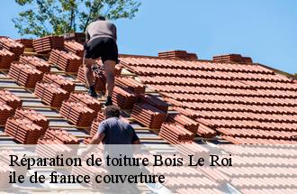 Réparation de toiture  bois-le-roi-77590 ile de france couverture