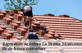 Réparation de toiture  la-brosse-montceaux-77940 ile de france couverture