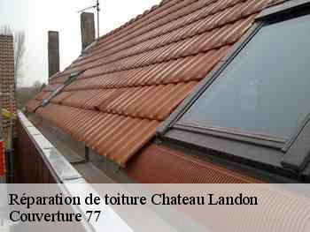 Réparation de toiture  chateau-landon-77570 Couverture 77