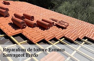 Réparation de toiture  esmans-77940 Sauvageot Fredo