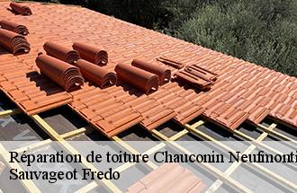 Réparation de toiture  chauconin-neufmontiers-77124 Sauvageot Fredo