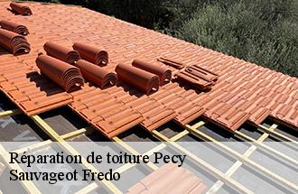 Réparation de toiture  pecy-77970 ile de france couverture