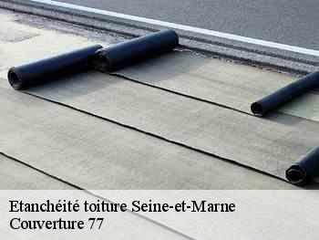 Etanchéité toiture 77 Seine-et-Marne  Couverture 77