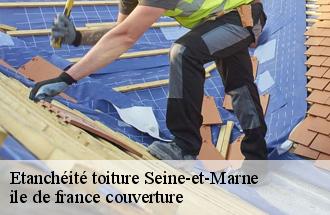 Etanchéité toiture 77 Seine-et-Marne  ile de france couverture