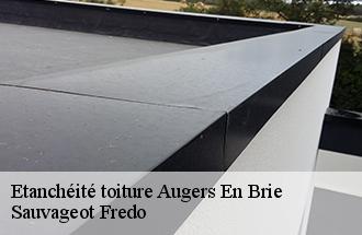 Etanchéité toiture  augers-en-brie-77560 Sauvageot Fredo