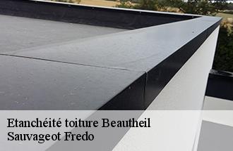 Etanchéité toiture  beautheil-77120 Sauvageot Fredo