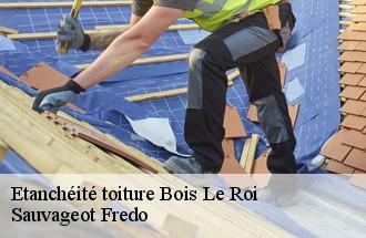 Etanchéité toiture  bois-le-roi-77590 Sauvageot Fredo