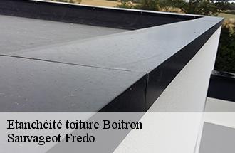 Etanchéité toiture  boitron-77750 ile de france couverture