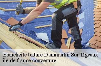 Etanchéité toiture  dammartin-sur-tigeaux-77163 ile de france couverture