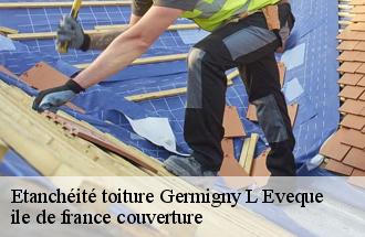 Etanchéité toiture  germigny-l-eveque-77910 ile de france couverture