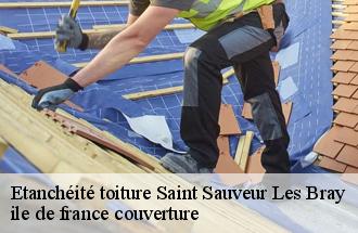 Etanchéité toiture  saint-sauveur-les-bray-77480 ile de france couverture