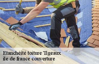 Etanchéité toiture  tigeaux-77163 ile de france couverture