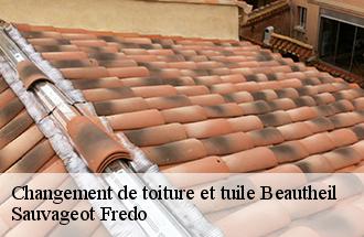 Changement de toiture et tuile  beautheil-77120 Sauvageot Fredo