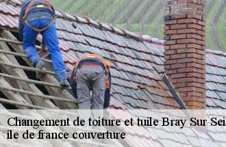 Changement de toiture et tuile  bray-sur-seine-77480 ile de france couverture