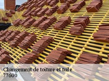 Changement de toiture et tuile  77600