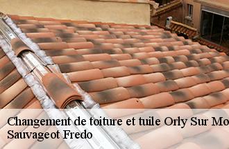 Changement de toiture et tuile  orly-sur-morin-77750 ile de france couverture