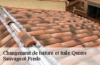 Changement de toiture et tuile  quiers-77720 Sauvageot Fredo