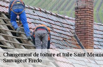 Changement de toiture et tuile  saint-mesmes-77410 Sauvageot Fredo