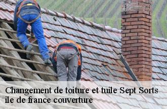 Changement de toiture et tuile  sept-sorts-77260 ile de france couverture