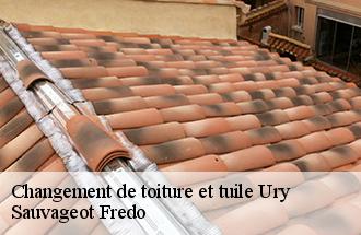 Changement de toiture et tuile ury-77760 Sauvageot Fredo
