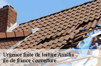 Urgence fuite de toiture  amillis-77120 ile de france couverture