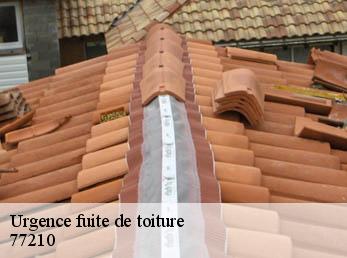 Urgence fuite de toiture  77210