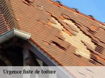 Urgence fuite de toiture