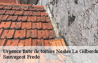 Urgence fuite de toiture nesles-la-gilberde-77540 Sauvageot Fredo