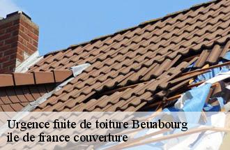 Urgence fuite de toiture  beuabourg-77183 ile de france couverture