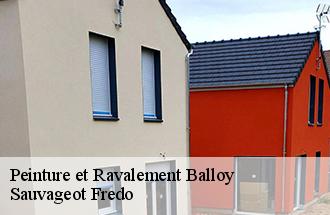 Peinture et Ravalement  balloy-77118 ile de france couverture