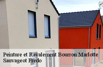 Peinture et Ravalement  bourron-marlotte-77780 ile de france couverture